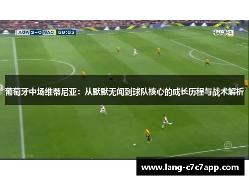 葡萄牙中场维蒂尼亚：从默默无闻到球队核心的成长历程与战术解析