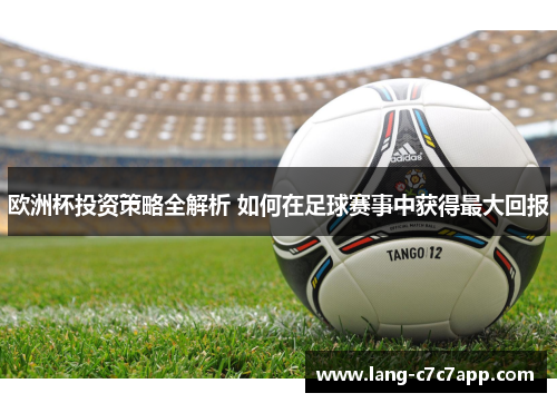 欧洲杯投资策略全解析 如何在足球赛事中获得最大回报 欧洲杯投资策略全解析 如何在足球赛事中获得最大回报